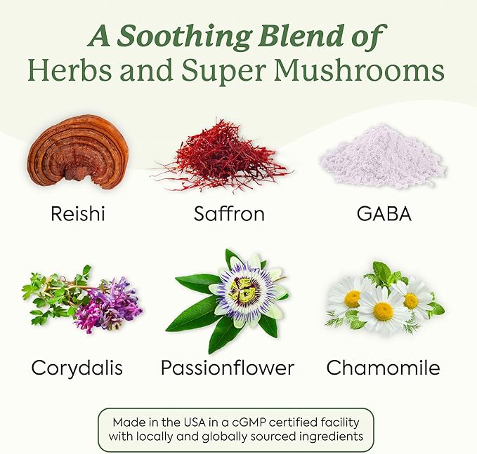 Plant People WonderSleep Mushroom Gummies Supplement for Sleep and Relaxation with Reishi Super Mushrooms, Wild Elderberry Flavor, No Sugar (60 Count)