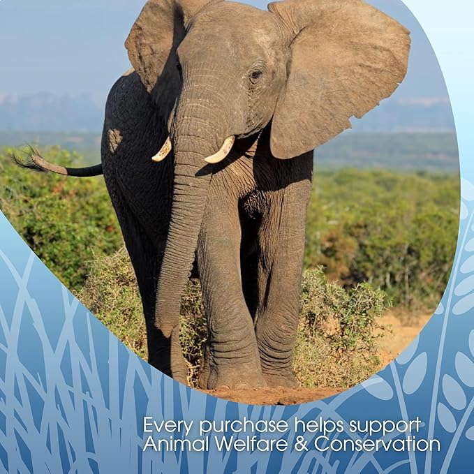 Elephant Vanilla Chai Tea Latte Mix, 14 Oz, Black Tea, Organic Spices, Dairy Free, Serve Hot or Cold, Just Add Water or Milk, 14 Servings