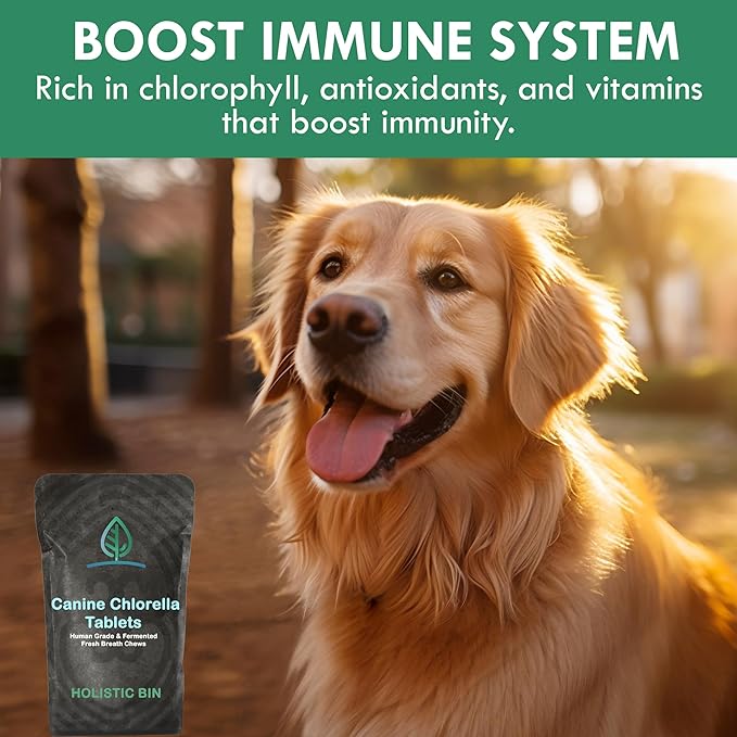 Canine Chlorella Tablets with Human Grade Fermented Chlorella for Dogs | Natural Dog Breath Freshener & Immune Booster Supplement | Dog Greens with Chlorophyll | 100 Vegan Tablets