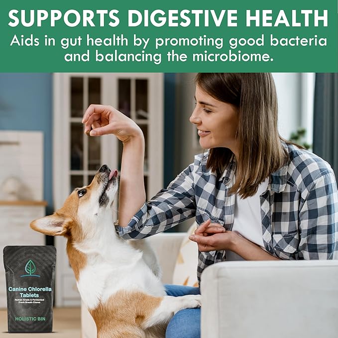 Canine Chlorella Tablets with Human Grade Fermented Chlorella for Dogs | Natural Dog Breath Freshener & Immune Booster Supplement | Dog Greens with Chlorophyll | 100 Vegan Tablets