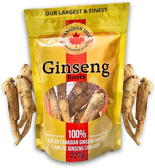 Canadian Ginseng Roots 8 oz - 5 Year Large Jumbo Size - Make Ginseng Soup - Energy | Focus | Immunity