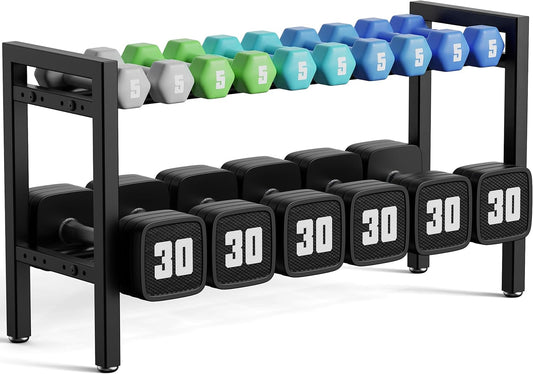 Dumbbell Rack Weight Stand Holder 2-Tier 31 IN Adjustable Weight Rack For Home Gym (Rack Only)