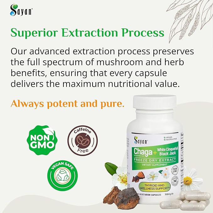 Sayan Siberian Chaga Mushroom + White Cinquefoil & Black Jack Extract – 90 Capsules/500mg ea – Organic & All-Natural Mushroom Supplement for Women – Vegan, Non-GMO, Gluten-Free No Fillers or Additives