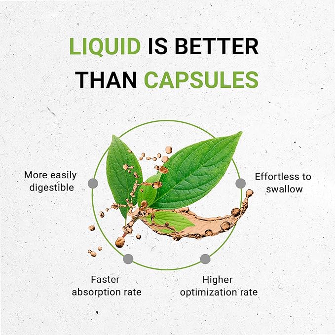 Secrets of the Tribe Olive Alcohol-Free Liquid Extract, Olive (Olea europaea) Dried Leaf (4 FL OZ)