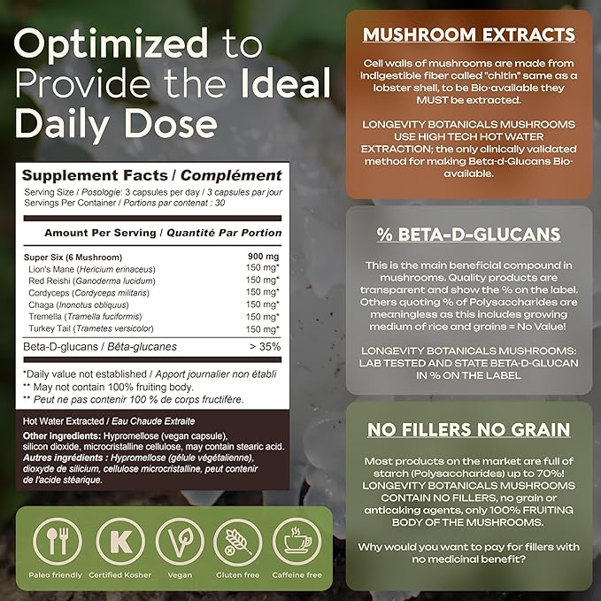 Longevity Botanicals Super Six Organic Mushroom Blend Capsules (90) | Reishi, Lion’s Mane, Chaga, Cordyceps, Tremella, Turkey Tail | Concentrated 10:1 Extract | 100% Fruiting Bodies | Mushroom Complex
