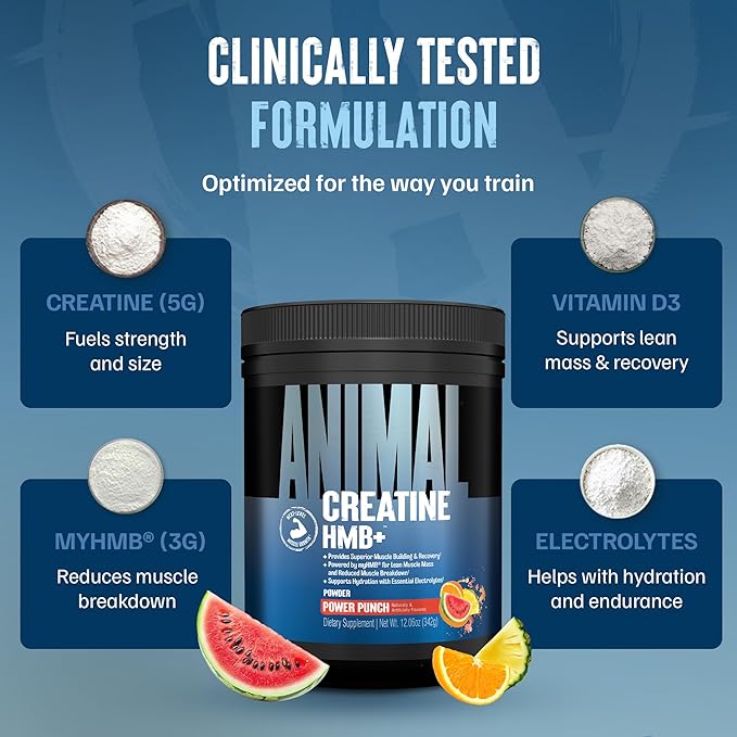 Animal Creatine HMB Powder – 5g Creatine + 3g myHMB with Electrolytes for Lean Muscle, Recovery & Daily Energy – Power Punch Flavor, 30 Servings