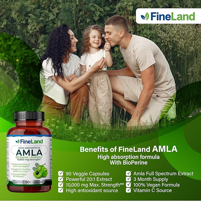 FineLand Amla (Indian Gooseberry) 20X Full Spectrum Extract – 30,600mg Equivalent per Serving with BioPerine® for Absorption, Rich in Natural Vitamin C, Immune & Digestive Support – 90 Vegan Capsules