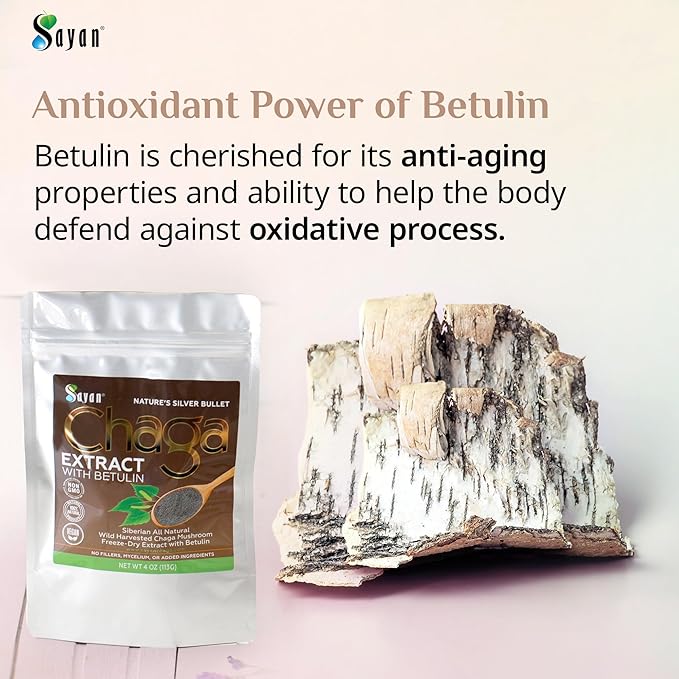 Sayan Siberian Chaga Mushroom Extract with Betulin Powder (2.2lbs)–Organic Antioxidant Blend – Support Immune System & Regulate Body Functions, Energy, Clarity, Wellness – Mix with Yogurt or Smoothies