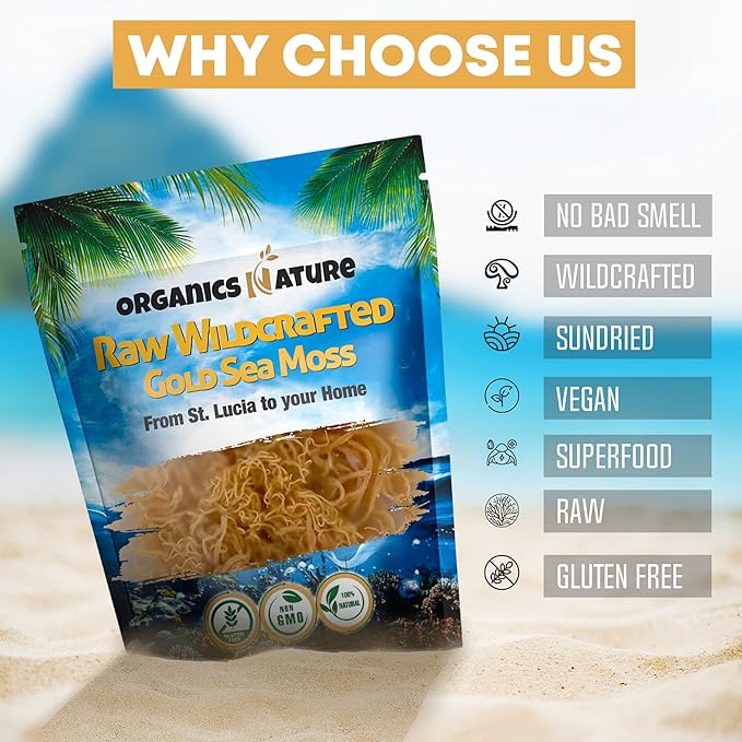 ORGANICS NATURE Dried Sea Moss Wildcrafted (2 Bags) & Black Seed Oil Capsules (2 Bottles) | Raw Gluten-Free, for Lung Detox, Immune System Support | Softgels, for Hair, Skin, Heart, Nigella Sativa