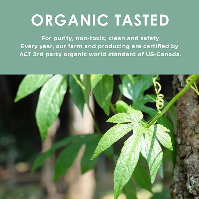 Organic Gynostemma Tea - Jiaogulan Tea 3.52 OZ – Certified USDA & EU Organic – Loose Leaf - Caffeine Free - Directly from Thailand Local farmer - Eternal life Herb - Northlandtea