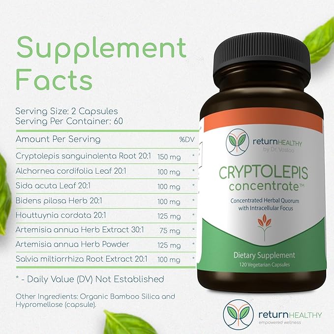 Cryptolepis Concentrate, Immune Support with Cryptolepis Sanguinolenta for Immunity Boost, Concentrated Herbal Supplements, Antioxidant & Health Supplement, 120 Capsules