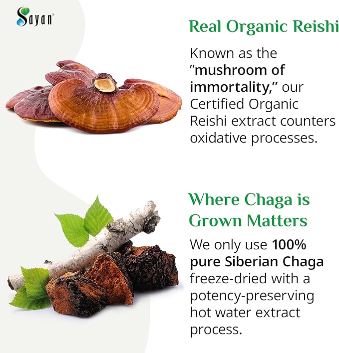 Sayan Siberian Chaga and Organic Reishi Mushroom Extract Supplement – 90 Capsules/440mg Each - Wild-Harvested, Antioxidant Blend for Immune System Support + Natural Energy Boost, Non-GMO, Gluten Free