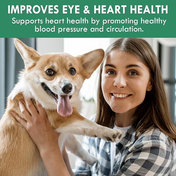 Canine Chlorella Tablets with Human Grade Fermented Chlorella for Dogs | Natural Dog Breath Freshener & Immune Booster Supplement | Dog Greens with Chlorophyll | 100 Vegan Tablets