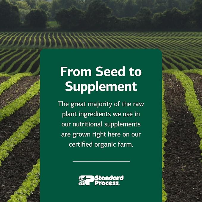 Standard Process Inc. Iplex - Whole Food Vascular Supplement, Eye Health and Eye Support with Shiitake Mushroom, Phosphoric Acid, Rice Bran, Organic Carrot, Arrowroot Flour, Alfalfa - 150 Capsules