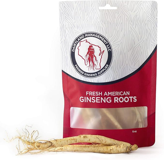 Dairyland Fresh American Ginseng Roots, 4 oz Fresh Wisconsin Ginseng, Direct from The Farmer to The Consumer, Premium Quality Ginseng
