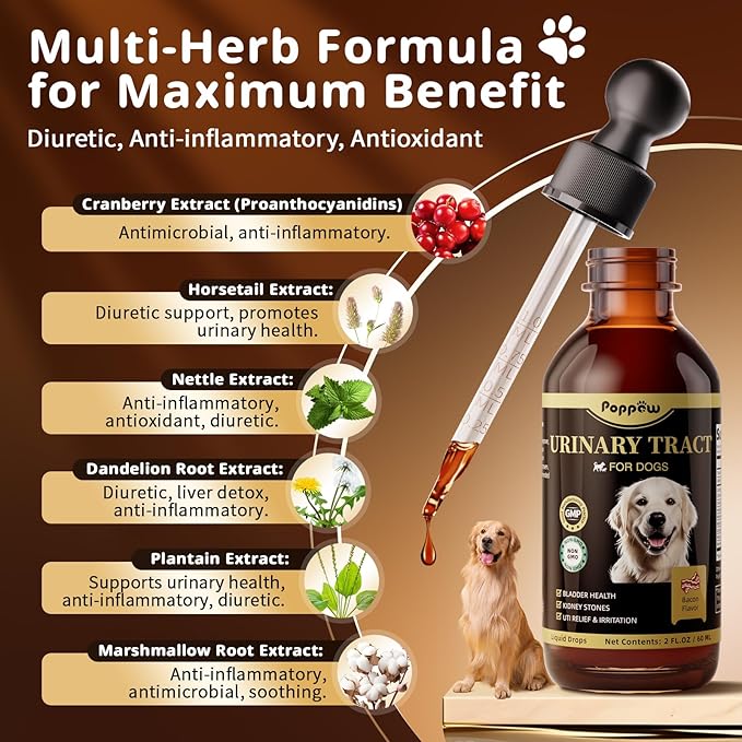 Dog UTI Treatment & Urinary Tract Support – Natural Herbal Drops with High Cranberry Extract, Vitamin B6 for Urine pH Balance, Bladder & Kidney Function, Split Dropper, Bacon Flavor, 2Oz