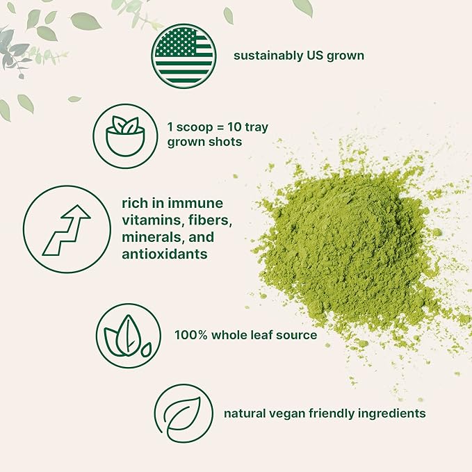 Micro Ingredients Sustainably US Grown, Organic Wheat Grass Powder (100% Whole-Leaf), 16 Ounce, Rich in Immune Vitamins, Fibers and Minerals, Support Digestion Function, Vegan Friendly