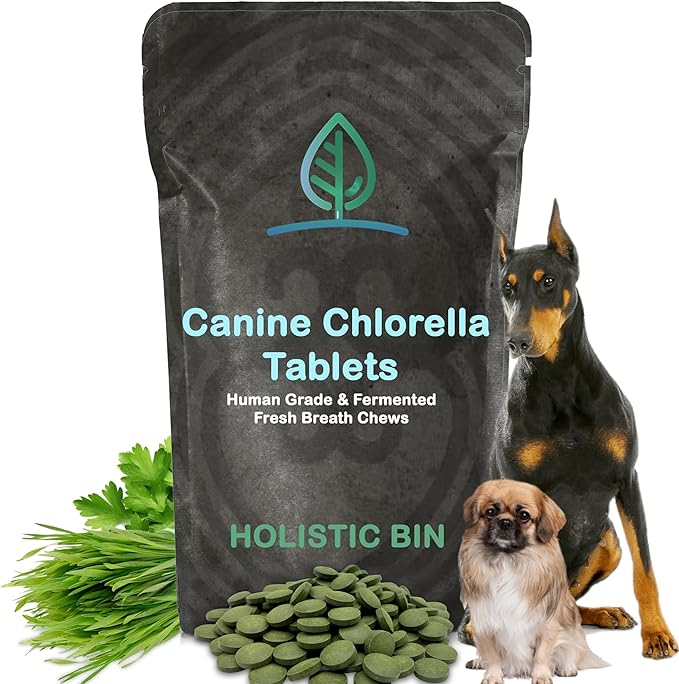 Canine Chlorella Tablets with Human Grade Fermented Chlorella for Dogs | Natural Dog Breath Freshener & Immune Booster Supplement | Dog Greens with Chlorophyll | 100 Vegan Tablets