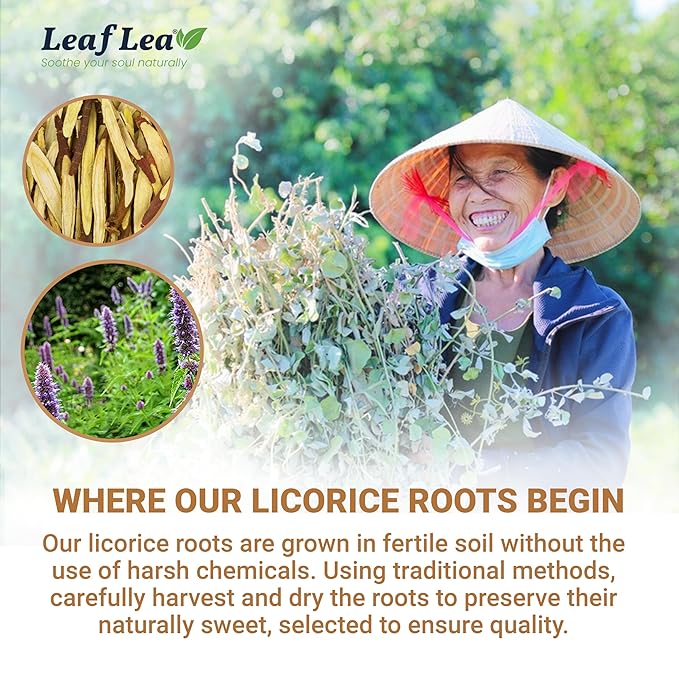 LeafLea 40 Premium Licorice Root Tea Bags, 100% Pure Licorice Spice Tea, Herbal Infusion to Digestive Comfort & Promote Respiratory Health, Te De Regaliz, Caffeine-Free, Sugar-Free, Soothing Flavor