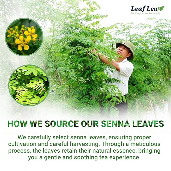 LeafLea 40 Senna Tea Bags – 100% Pure Senna Leaves, Herbal Laxative Tea for Gentle Constipation Relief, Caffeine-Free, Sugar-Free, Gluten-Free, Non-GMO, Vegan, Supports Digestive Health