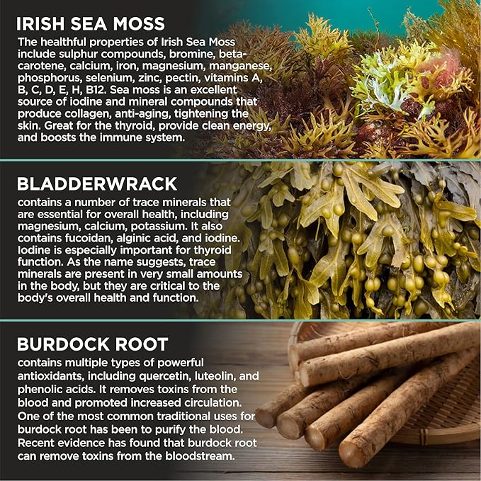 Organic Irish Sea Moss with Bladderwrack, Burdock Root & Black Pepper Extract, 150 Capsules, Thyroid Support, Natural Iodine Source, Promotes Immune System, Cell Food, Alkaline Supplement