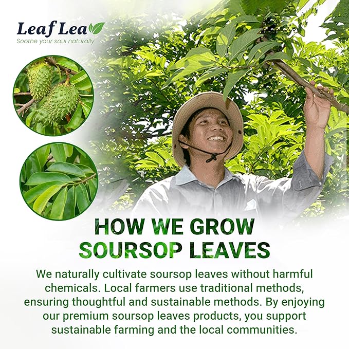 LeafLea 40 Premium Soursop Leaf Tea Bags, Pure & Natural Sour Sop Leaves, Graviola Leaves Tea, Hoja Guanabana Tea, Natural Digestion Support Herbal Tea Bags, Nutrient-Rich, No Sugar, No Caffeine